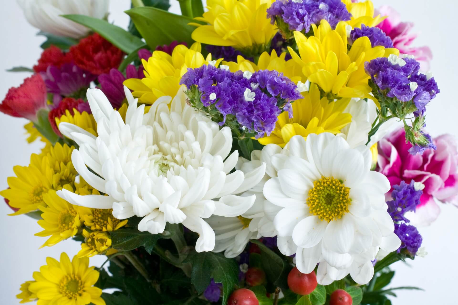 葬儀・葬式の花は何種類？手配するタイミングと方法まで解説